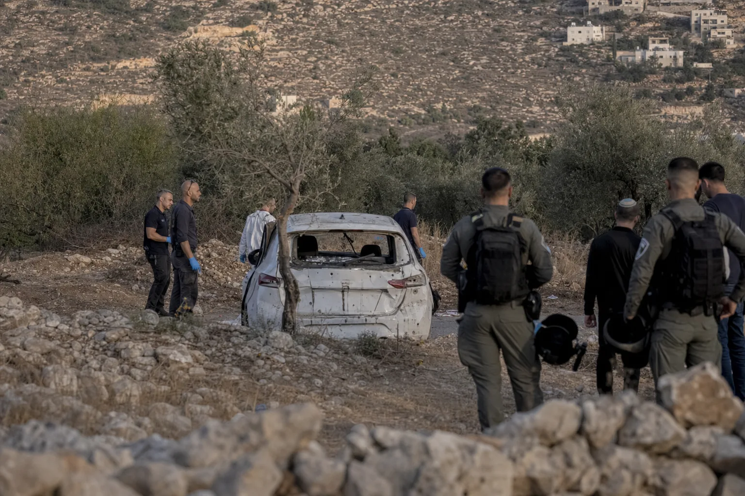 כוחות ביטחון ובוחנים בזירת אירוע במטע זיתים באזור בנימין.