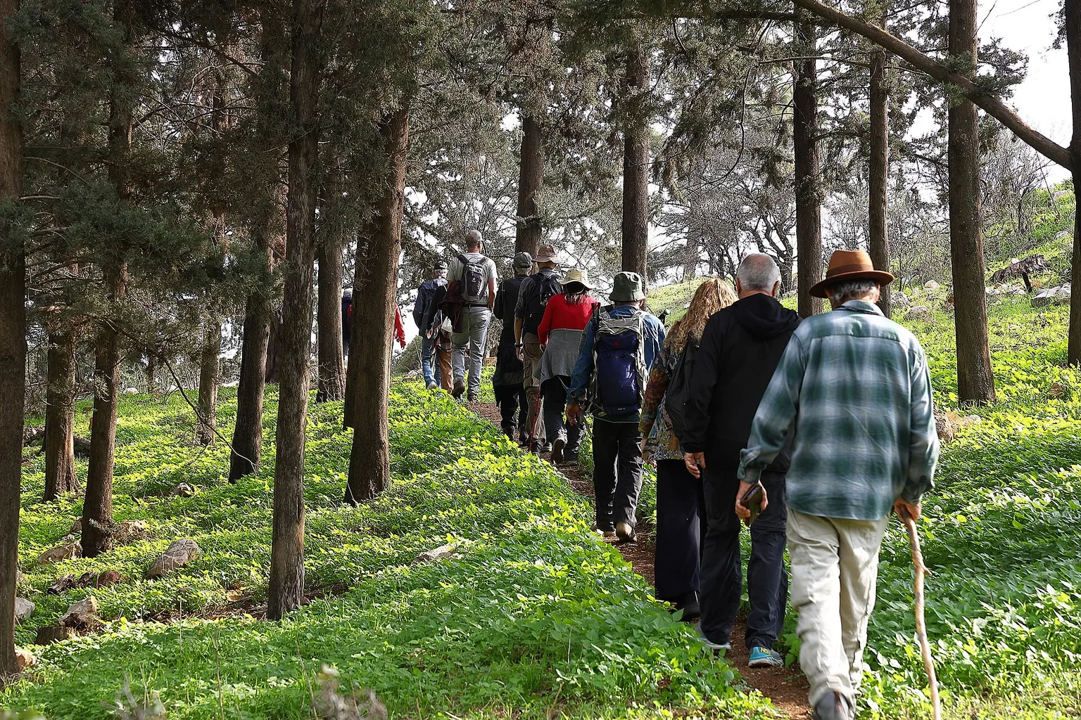 קבוצת מטיילים צועדת ביער ברכס רמים