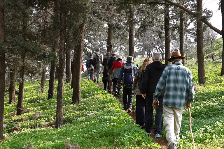 קבוצת מטיילים צועדת ביער ברכס רמים