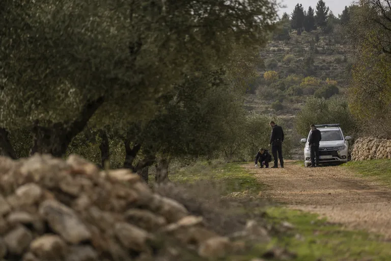 שוטרים בוחנים אזור של מטע זיתים בגבעות בנימין לאחר אירוע אלים.