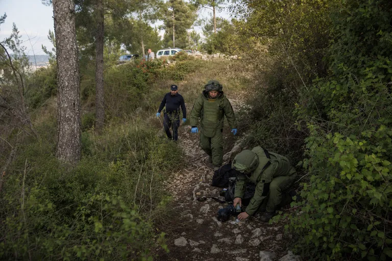 כוחות הצלה וחבלנים פועלים בשביל טיולים מיוער בצפון לאחר פיצוץ נפל.